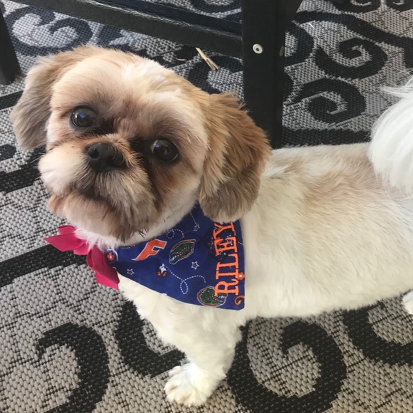 Meet your Posher, Lavandula - Picture 5 of 10